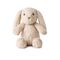 Cloud B - Love Light - Billy Bunny - (CB7703-BB) / Toys