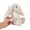 Cloud B - Love Light - Billy Bunny - (CB7703-BB) / Toys