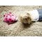Cloud B - Twilight Ladybug, pink (CB7353-PK) / Toys - Αταξινόμητα -  - Techbox