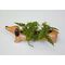 Daisy The Dachshund Planter (PL17) / Gadgets