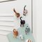 Cat Butt Magnets Set Of 6 / Gadgets - Αταξινόμητα -  - Techbox