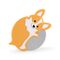 Corgi Lovers Pizza Cutter (CU338) / Gadgets
