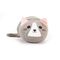 Cat Tech Cleaner / Gadgets