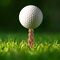 Gopher Golf Tee S/6 / Gadgets - Golf - Sports & Fitness - Techbox