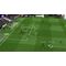 Sociable Soccer 24 / Nintendo Switch - Nintendo Switch Games - Games - Techbox