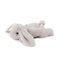 Cloud B - Dream Buddies - Bunny (CB7472-BUG) / Toys