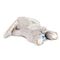 Cloud B - Dream Buddies - Bunny (CB7472-BUG) / Toys