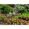 Ravensburger - Keukenhof Gardens 1000p - (12000851) / Toys - Puzzles - Gifts - Techbox