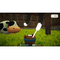 Everdream Valley / Nintendo Switch | Techbox
