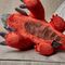 Numskull Destiny Plush Cabal Warbeast / Fan Shop and Merchandise |  Techbox