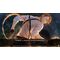 Code: Realize ~Future Blessings~ / Nintendo Switch | Techbox