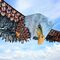 3D Eagle Kite / Gadgets