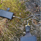 Aqiila - Sunbird P21 - Foldable solar charger with USB-C port / Electronics - Αταξινόμητα -  - Techbox