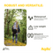 Aqiila - Sunbird P21 - Foldable solar charger with USB-C port / Electronics - Αταξινόμητα -  - Techbox