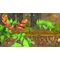 Swoon! Earth Escape (Import) / Nintendo Switch - Nintendo Switch Games - Games - Techbox