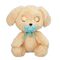 Baby Paws - Labrador (264-921146) / Toys
