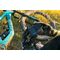 GoPro - HERO13 Black Action Camera / Electronics | Techbox
