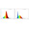 EGLO - E27 A60 spiral, amber - TW - Zigbee, Bluetooth / Electronics | Techbox