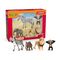 Schleich - Wild Life - Africa Starter Set (42721) / Toys