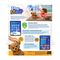 Play-I Poe - Interactive AI Bear (90255) / Toys |  Techbox