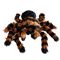 Giant Tarantula / Gadgets
