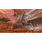Unknown9: Awakening / PlayStation 5 - PS5 Games - Games - Techbox
