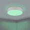 EGLO - Romao-Z loft lamp gray Ø57 - RGB + TW - Zigbee, Bluetooth / Electronics | Techbox