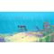 Dolphin Spirit: Ocean Mission / Nintendo Switch - Nintendo Switch Games - Games - Techbox