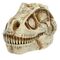 GrossMos - Blind Dino S1 (121046) / Toys