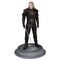 DARK HORSE The Witcher PVC Statue Transformed Geralt / Fan Shop and Merchandise |  Techbox