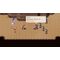 Gale of Windoria (Limited Run) (Import) / PlayStation 4 - PS4 Games - Games - Techbox