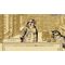Aviary Attorney: Definitive Edition (Import) / Nintendo Switch - Nintendo Switch Games - Games - Techbox