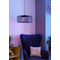 EGLO - Ginestrone-Z pendant black Ø45 - RGB + TW - Zigbee, Bluetooth / Electronics - Αταξινόμητα -  - Techbox