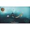 The Falconeer (Warrior Edition) / PlayStation 4 - PS4 Games - Games - Techbox