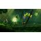 Rayman Legends /Xbox One / Xbox One - Xbox One Games - Games - Techbox