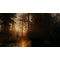 Alan Wake 2 (Deluxe Edition) / PlayStation 5 | Techbox