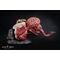PureArts - Resident Evil 2 -Licker 1:1 Bust RESIN Statue / Fan Shop and Merchandise - Statues - Collectibles - Techbox