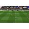 Sociable Soccer 25 / PlayStation 5 - PS5 Games - Games - Techbox