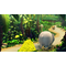 Donkey Kong Country Returns HD / Nintendo Switch - Nintendo Switch Games - Games - Techbox