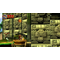 Donkey Kong Country Returns HD / Nintendo Switch - Nintendo Switch Games - Games - Techbox