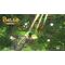 Baldo The Guardian Owls (The Three Fairies Edition) (Import) / PlayStation 4 - PS4 Games - Games - Techbox