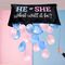 Gender Reveal Balloon Set / Gadgets