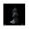 The Lord of the Rings - Nazgul on Horse Deluxe Statue Scale 1/10 / Fan Shop and Merchandise |  Techbox