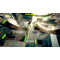 Shred! Remastered & Shred! 2 Ft. Sam Pilgrim (Code in Box) / Nintendo Switch - Nintendo Switch Games - Games - Techbox