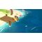 Petit Island / PlayStation 5 - PS5 Games - Games - Techbox