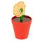 Flower Pot Pencil Sharpener / Gadgets - Merchandise Office Supplies - Various - Techbox