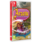 Arzette:The Jewel of Faramore / Nintendo Switch | Techbox