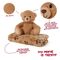 Teddy Bear Soft blanket + plush toy 22cm - GIFT|PLUSH TOYS - Product details