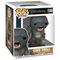 POP figure Super The Lord of the Rings Cave Troll - Funko POP - Collectibles - Techbox