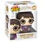 Bitty POP figure Ride Harry Potter - Harry Potter with Hogwarts Epxress - Funko POP - Collectibles - Techbox